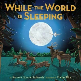 While The World Is Sleeping