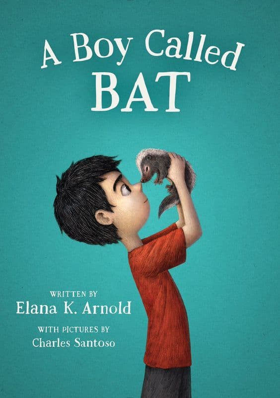 A Boy Called Bat