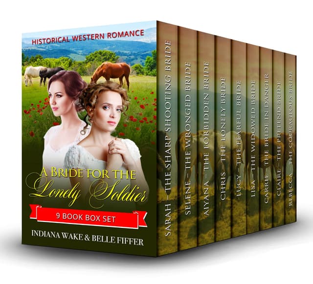 A Bride for the Lonely Soldier: 9 Book Box Set