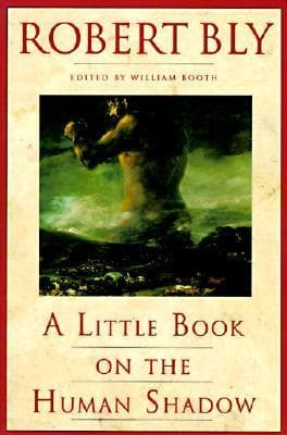 A Little Book on the Human Shadow: A Poetic Journey into the Dark Side of the Human Personality, Shadow Work, and the Importance of Confronting Our Hidden Self