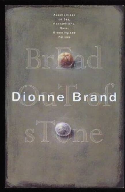 Bread Out of Stone: Recollections, Sex, Recognitions, Race, Dreaming, Politics
