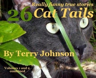 Cat Tails 26