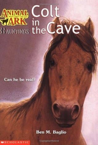 Colt in the Cave