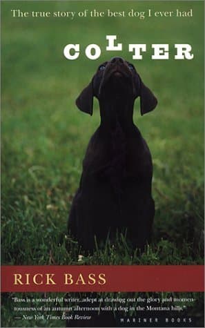 Colter: The True Story of the Best Dog I Ever Had – A Memoir of Raging Genius, Loyal Spirit, and Canine Companionship in Montana