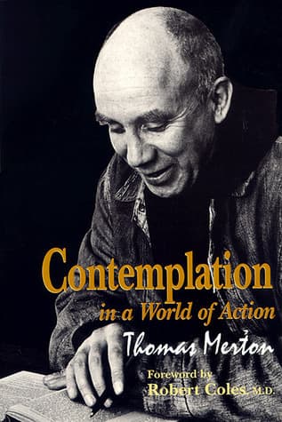 Contemplation in a World of Action