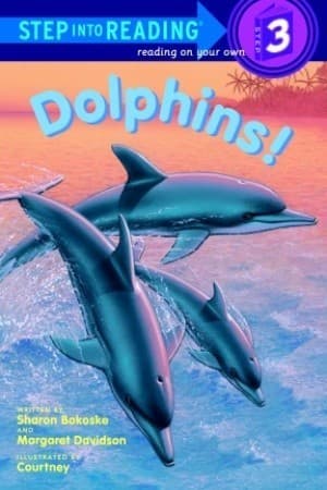 Dolphins!