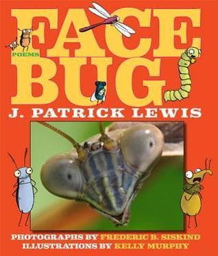 Face Bug