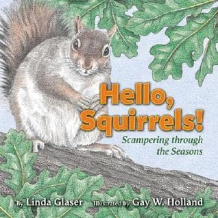 Hello, Squirrels!: Scampering Through the Seasons