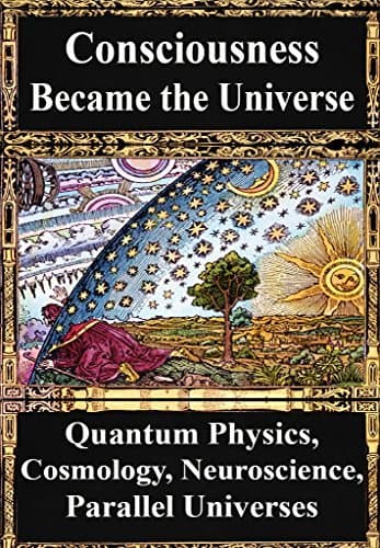 How Consciousness Became the Universe: Quantum Physics, Cosmology, Relativity, Evolution, Neuroscience, Parallel Universes
