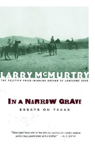 In a Narrow Grave : Essays on Texas