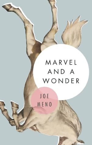 Marvel and a Wonder