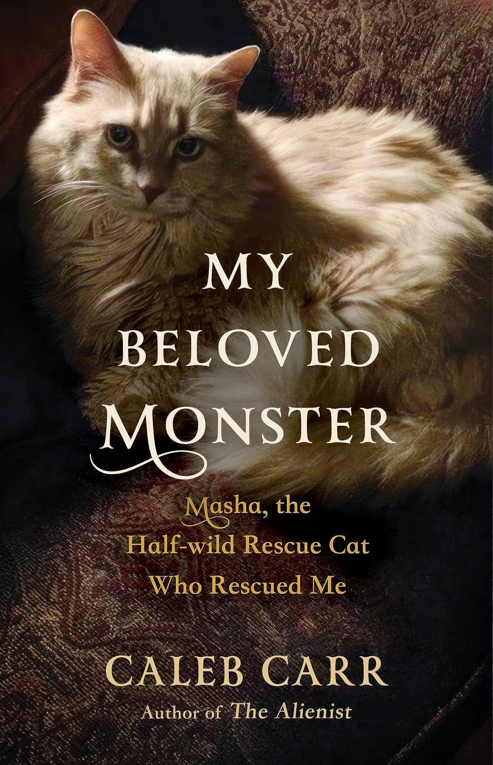 My Beloved Monster: Masha, the Half-wild Rescue Cat Who Rescued Me