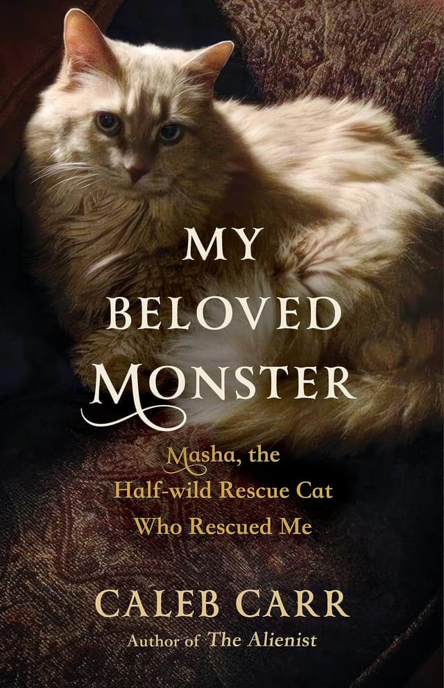 My Beloved Monster: Masha, the Half-wild Rescue Cat Who Rescued Me
