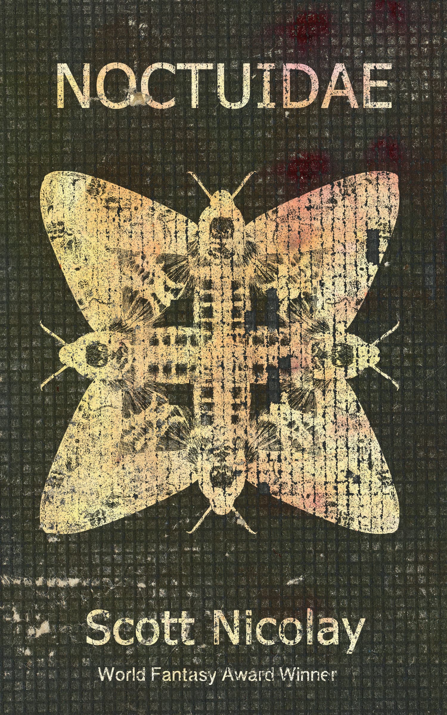 Noctuidae