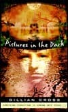 Pictures in the Dark