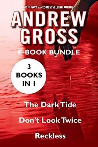 The Andrew Gross: Three Deadly Detective Thrillers of Financial Conspiracy and Corruption