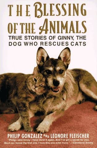 The Blessing of the Animals: True Stories of Ginny, the Dog Who Rescues Cats – The Heartwarming Adventures of Devotion and Love – A Miracle Canine Saves Disabled and Ailing Strays