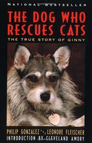 The Dog Who Rescues Cats: The True Story of Ginny