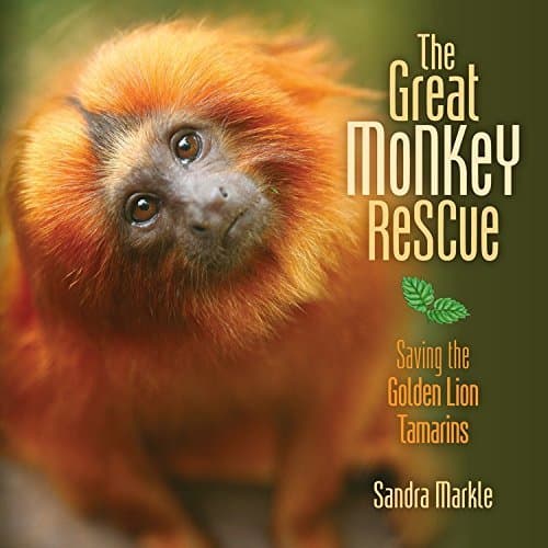 The Great Monkey Rescue: Saving the Golden Lion Tamarins