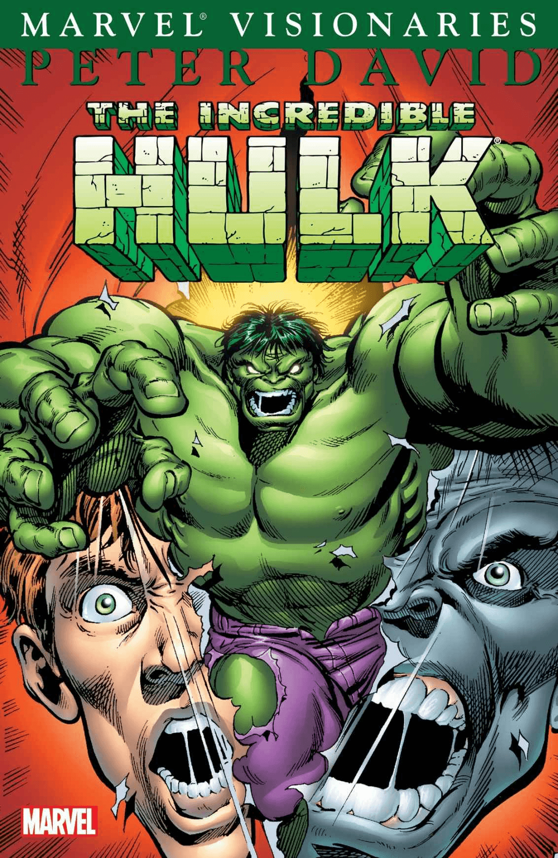The Incredible Hulk Visionaries: Peter David, Vol. 5
