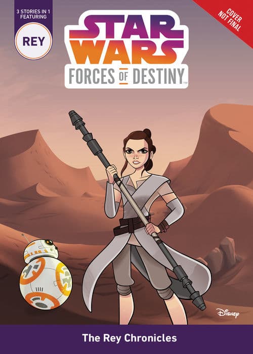The Rey Chronicles