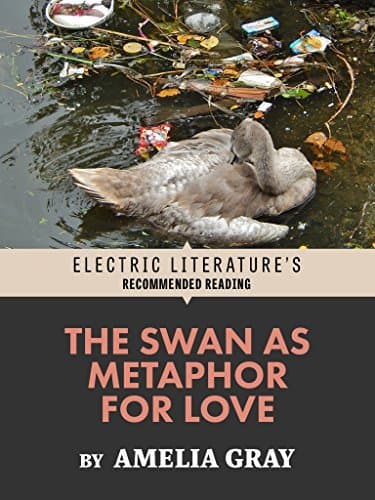 The Swan as Metaphor for Love