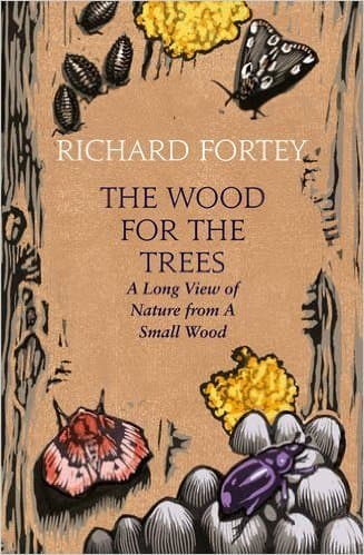 The Wood for the Trees : The Long View of Nature From a Small Wood