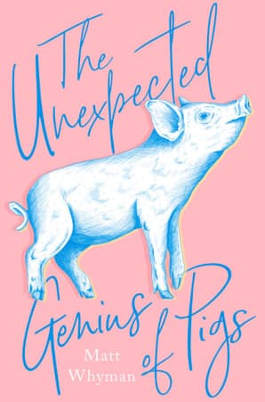 Unexpected Genius Of Pigs