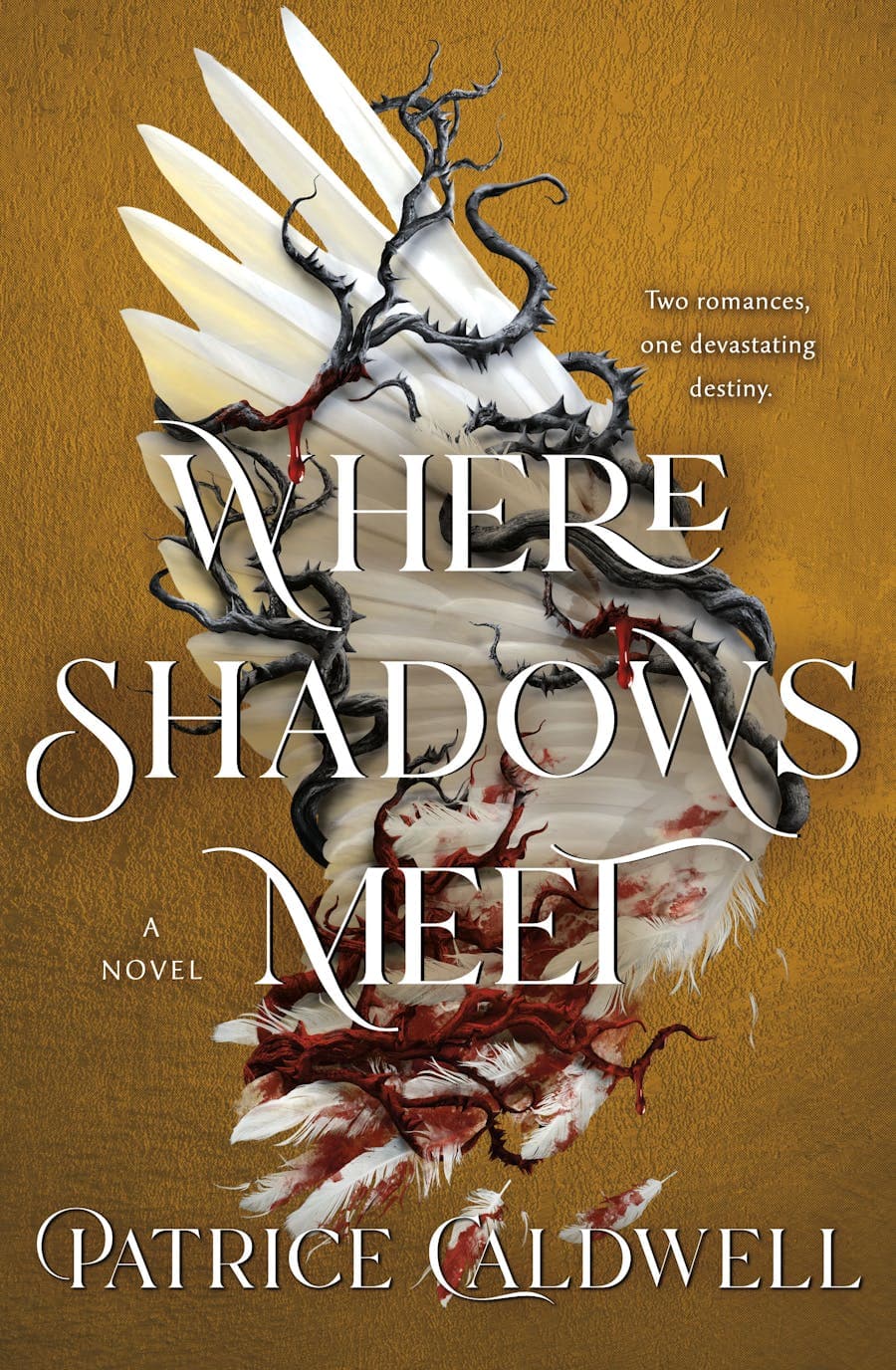 Where Shadows Meet
